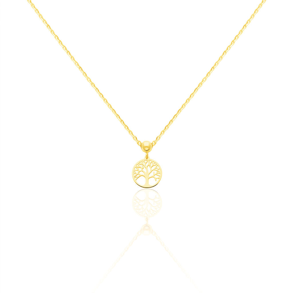 Notre s&eacute;lection