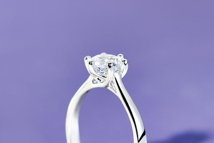 LP-collection-iconiques-2024