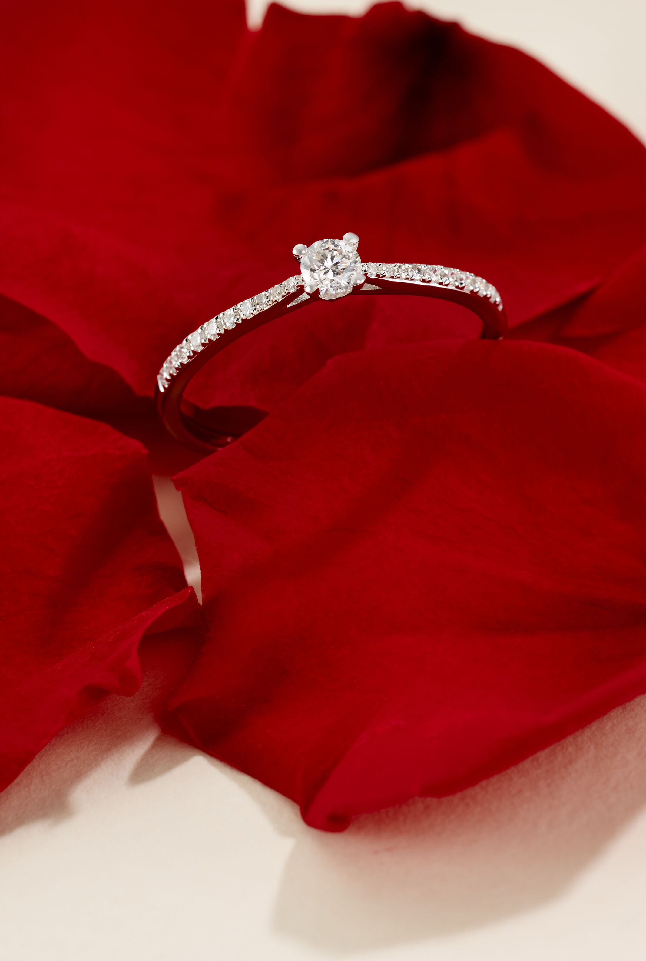 LA DIAMANT &Agrave; TRAVERS LES &Acirc;GES : GRANDE HISTOIRE ET PETITES ANECDOTES