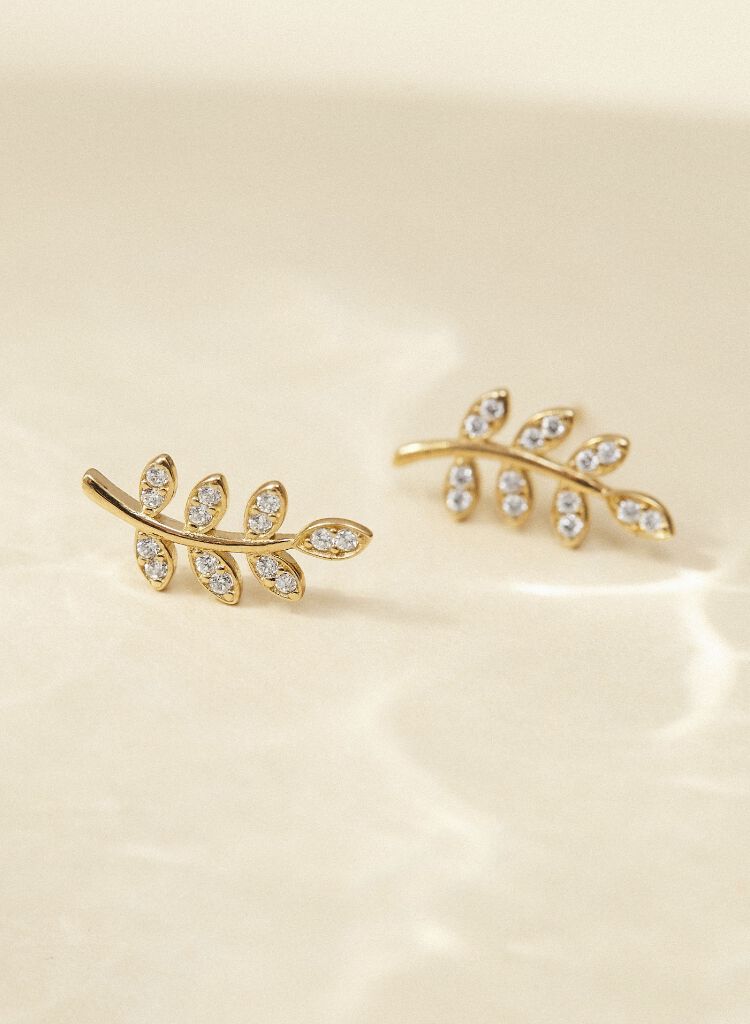 boucles d'oreilles puces