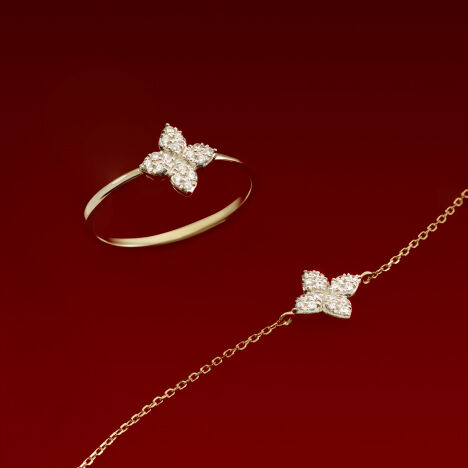 LP-STVAL25-collections