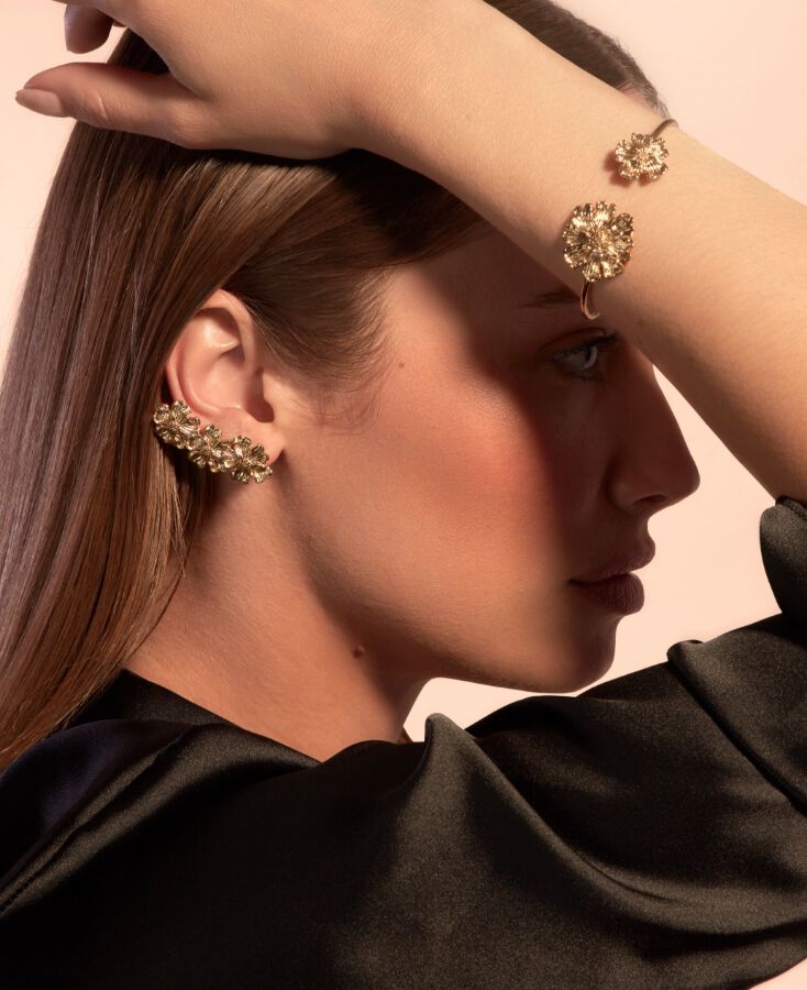 lp-collection-dyonis