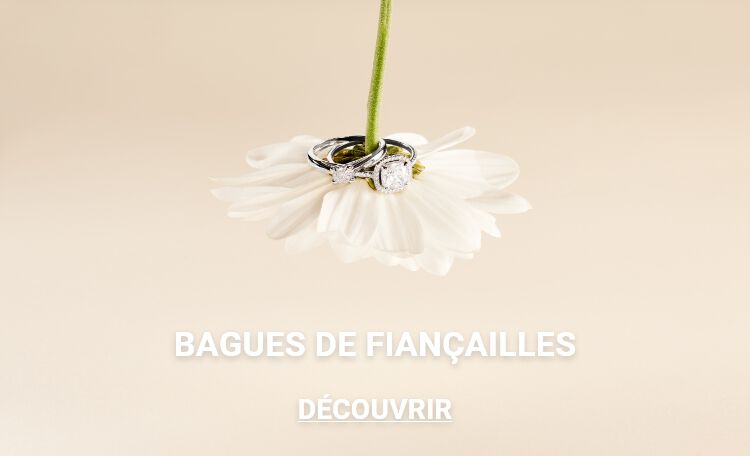 bagues de fian&ccedil;ailles