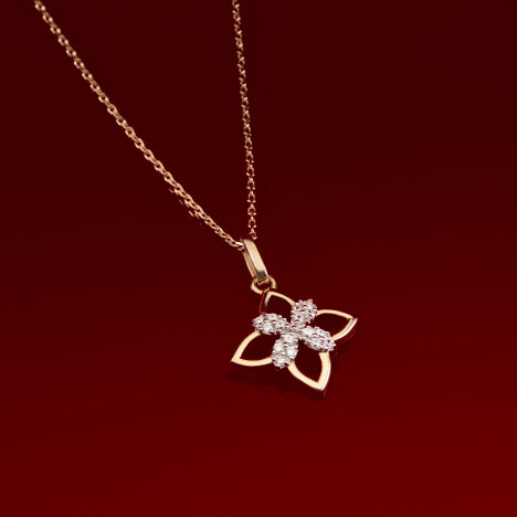 LP-STVAL25-collections