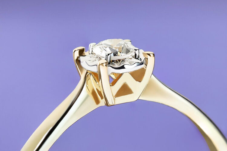 LP-collection-diamotion-2024