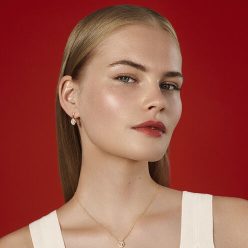 S&eacute;lection Ic&ocirc;ne