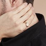 Chevali&egrave;re Plaqu&eacute; Or Jaune Louie - Chevali&egrave;res Homme | Histoire d&rsquo;Or