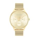 Montre Calvin Klein Timeless Multi Champagne - Montres Femme | Histoire d&rsquo;Or