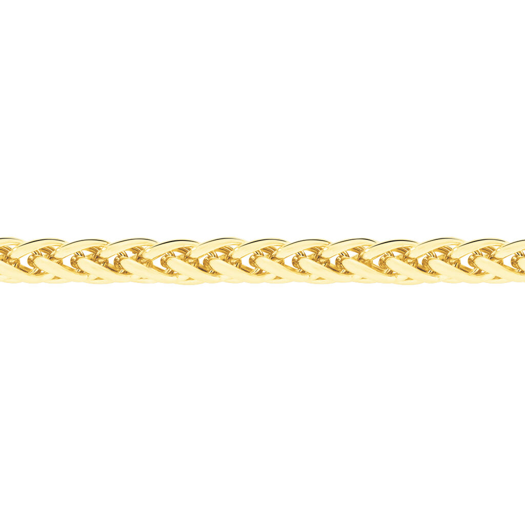 Collier Jany Danilo Maille Palmier Or Jaune - Chaines Femme | Histoire d’Or