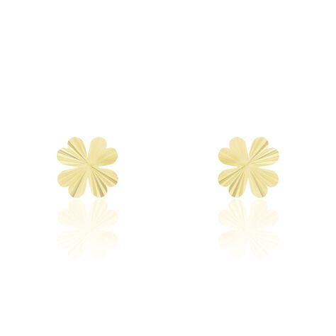 Boucles D'oreilles Puces Dag Or Jaune - Clous d'oreilles Femme | Histoire d’Or