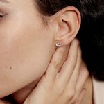 Boucles D'oreilles Puces Eddie Or Jaune Oxyde De Zirconium - Clous d'oreilles Femme | Histoire d&rsquo;Or