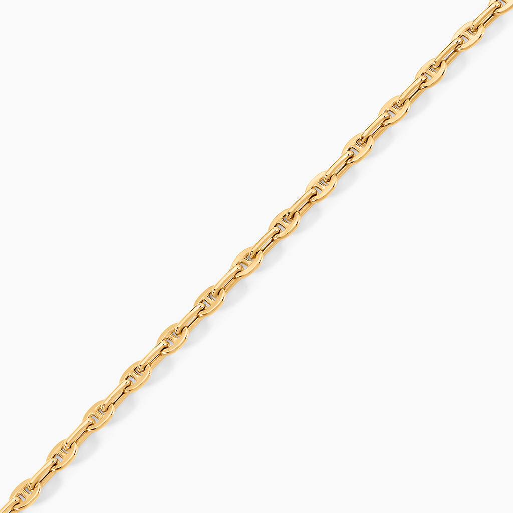 Bracelet Wynter Or Jaune - Bracelets cha&icirc;ne Unisex | Histoire d&rsquo;Or