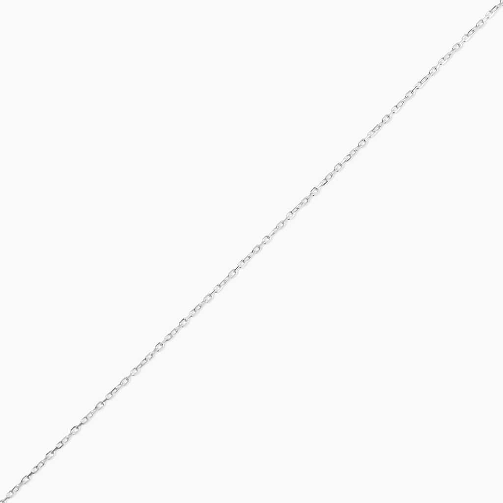 Chaîne Ilan Maille Forçat Ronde Or Blanc - Chaines Famille | Histoire d’Or