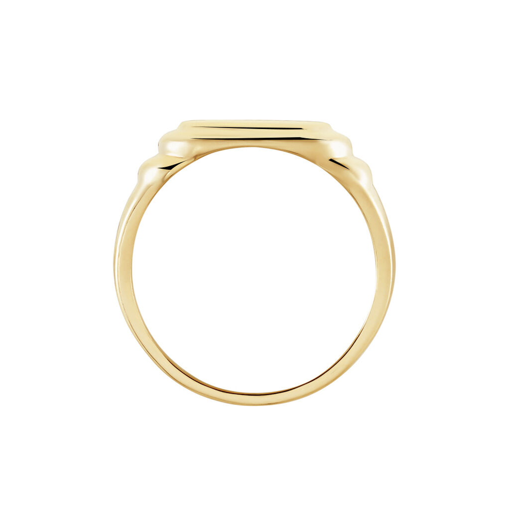 Chevali&egrave;re Plaqu&eacute; Or Jaune Eliseo - Chevali&egrave;res Homme | Histoire d&rsquo;Or