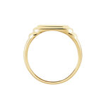 Chevali&egrave;re Plaqu&eacute; Or Jaune Eliseo - Chevali&egrave;res Homme | Histoire d&rsquo;Or