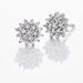 Boucles D'oreilles Puces Platine Alden Diamants - Clous d'oreilles Femme | Histoire d’Or