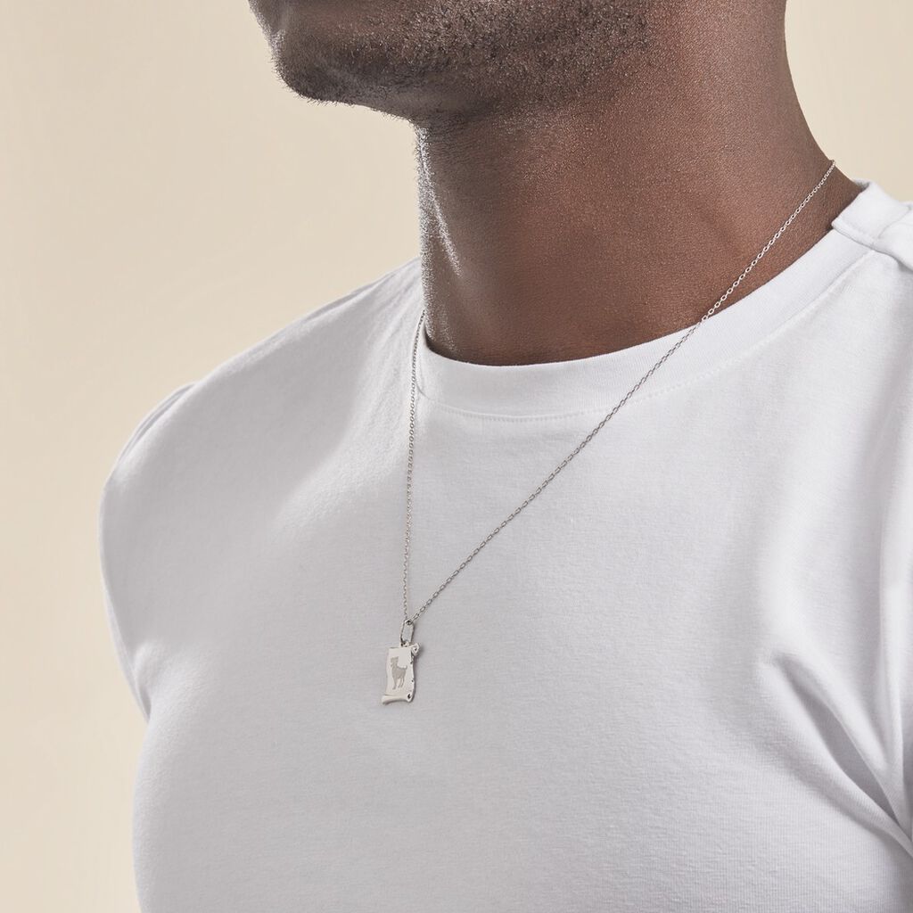 Pendentif Zodiaque Parchemin Argent Blanc - Pendentifs Zodiaque Famille | Histoire d’Or