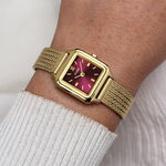 Montre Cluse Gracieuse Mini Bordeaux - F&ecirc;te des m&egrave;res Femme | Histoire d&rsquo;Or