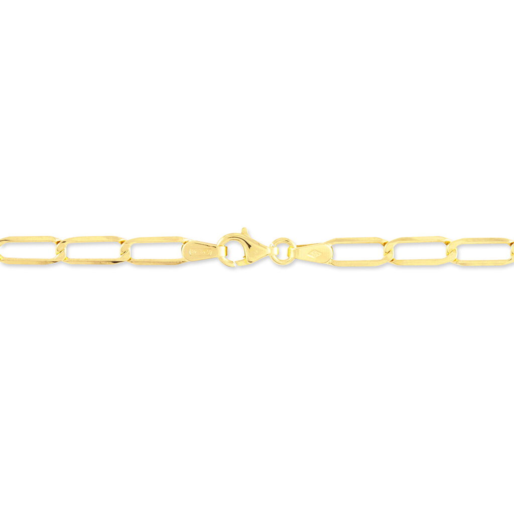 Bracelet Or Jaune Maille Cheval - Bracelets chaîne Femme | Histoire d’Or
