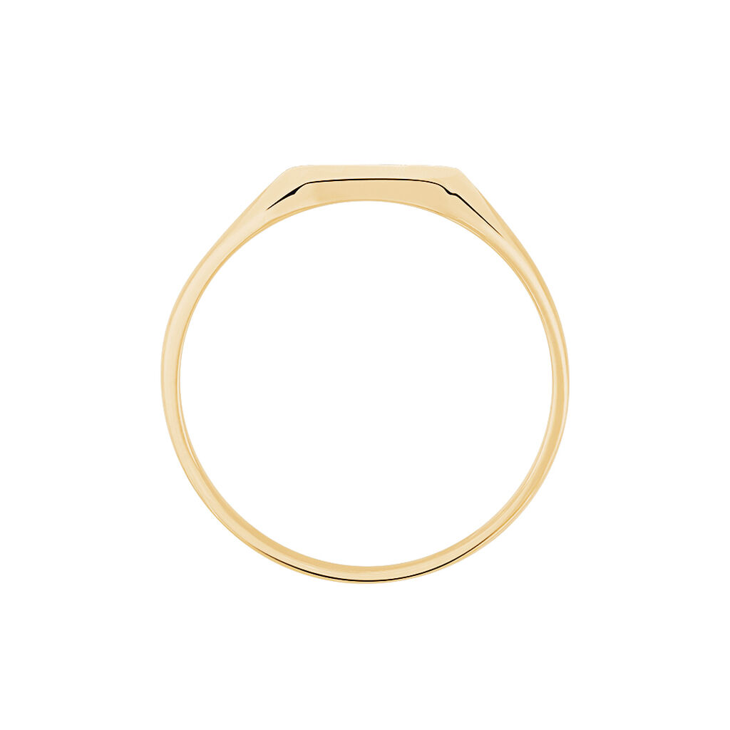 Chevali&egrave;re Henry Plaque Or Jaune - Chevali&egrave;res Homme | Histoire d&rsquo;Or