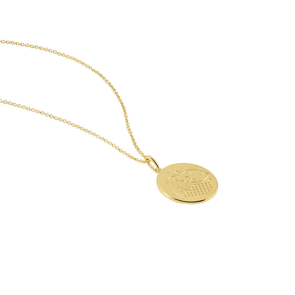 Collier Astro Plaqu&eacute; Or - Colliers Zodiaque Femme | Histoire d&rsquo;Or