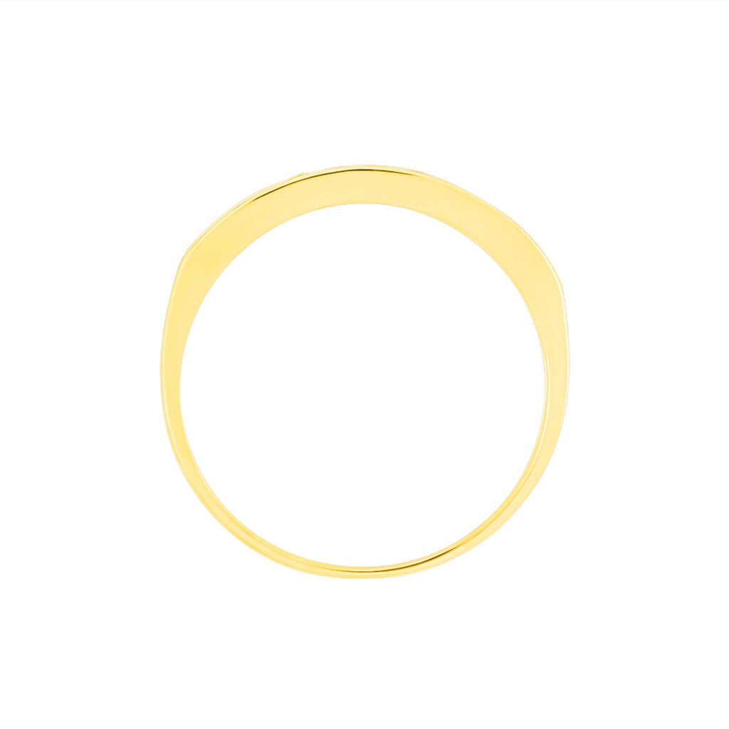 Alliance Davila Or Jaune Oxyde De Zirconium - Alliances Femme | Histoire d&rsquo;Or