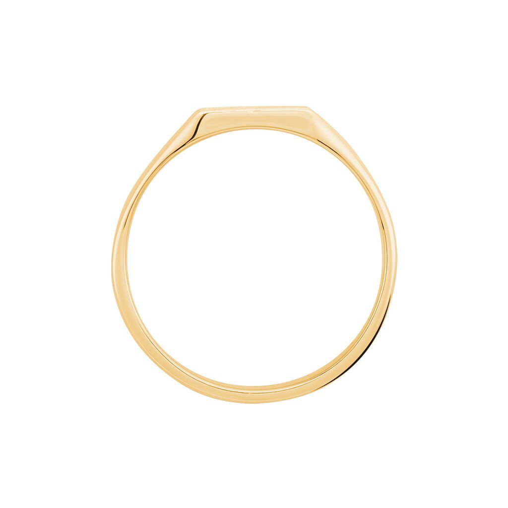 Chevali&egrave;re Daniel Plaqu&eacute; Or Jaune - Chevali&egrave;res Homme | Histoire d&rsquo;Or