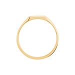 Chevali&egrave;re Daniel Plaqu&eacute; Or Jaune - Chevali&egrave;res Homme | Histoire d&rsquo;Or