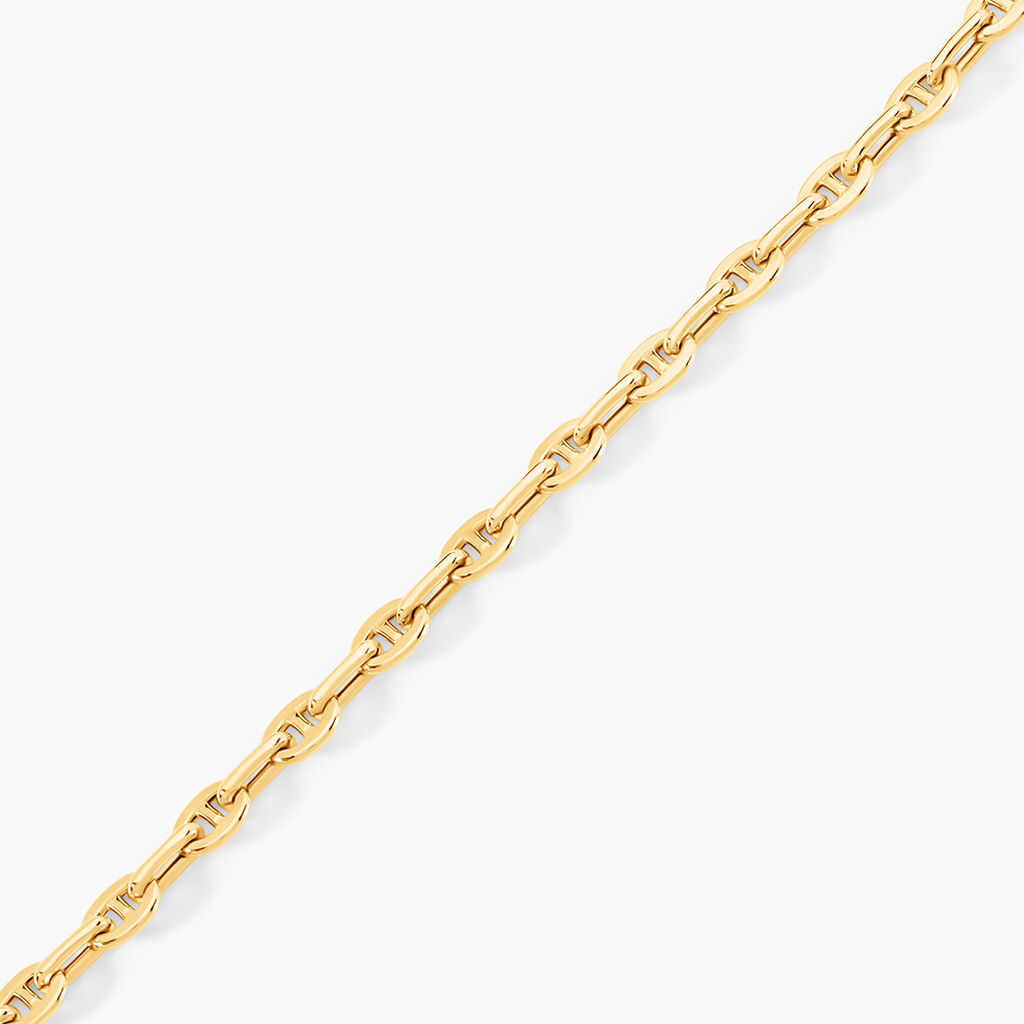 Bracelet Wynter Or Jaune - Bracelets cha&icirc;ne Homme | Histoire d&rsquo;Or