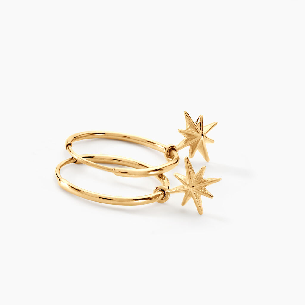 Cr&eacute;oles Rorie Or Jaune - Boucles d'oreilles cr&eacute;oles Famille | Histoire d&rsquo;Or