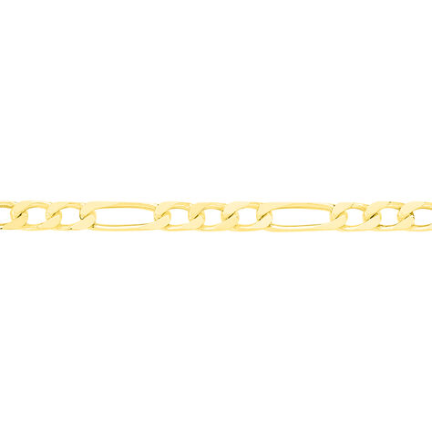 Chaîne Cameo Maille Alternee 1/3 Or Jaune - Chaines Homme | Histoire d’Or