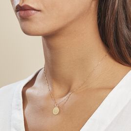 Pendentif Lamie Zodiaque Or Jaune - Pendentifs Zodiaque Famille | Histoire d’Or
