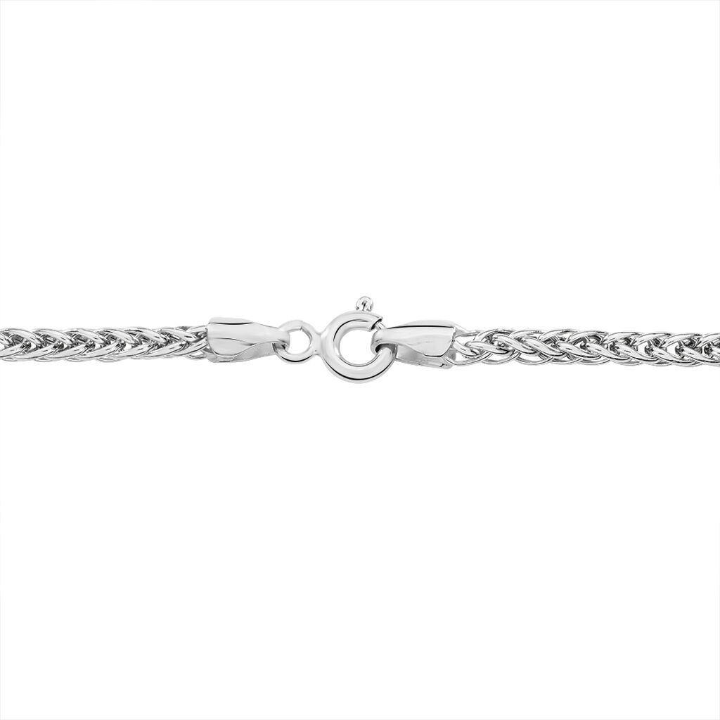 Collier Jany Danilo Maille Palmier Or Blanc - Chaines Femme | Histoire d’Or
