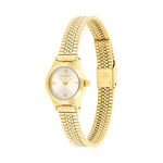 Montre Calvin Klein Ck Contemporary Champagne - Montres Femme | Histoire d&rsquo;Or
