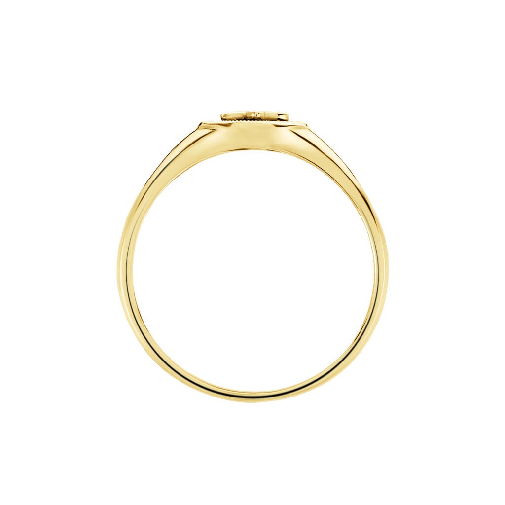 Bague Talisman Or Jaune Nacre Diamant - Bagues solitaires Femme | Histoire d&rsquo;Or