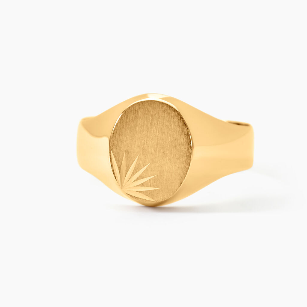 Chevali&egrave;re Deimos Ovale Diamantee Soleil Or Jaune - Chevali&egrave;res Homme | Histoire d&rsquo;Or