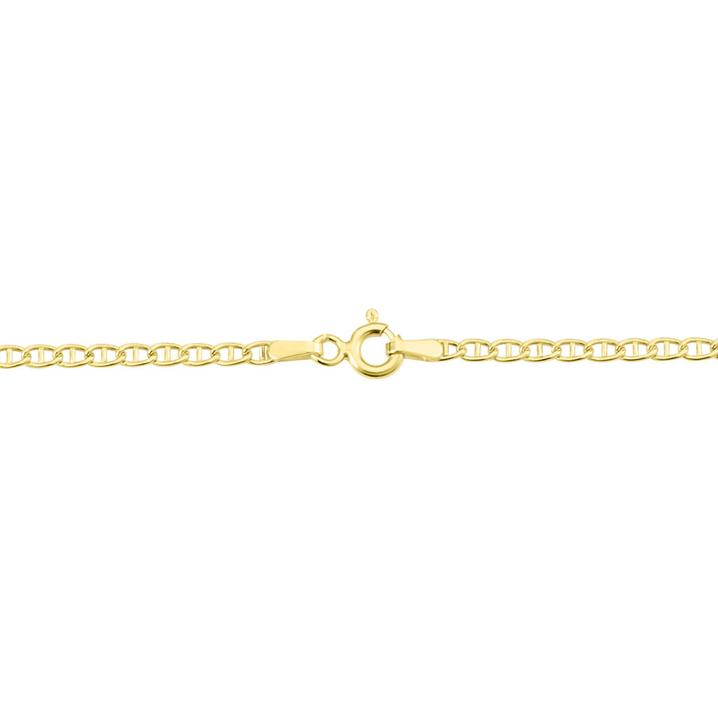 Collier Capucin Or Jaune Maille Marine Plate - Chaines Femme | Histoire d&rsquo;Or