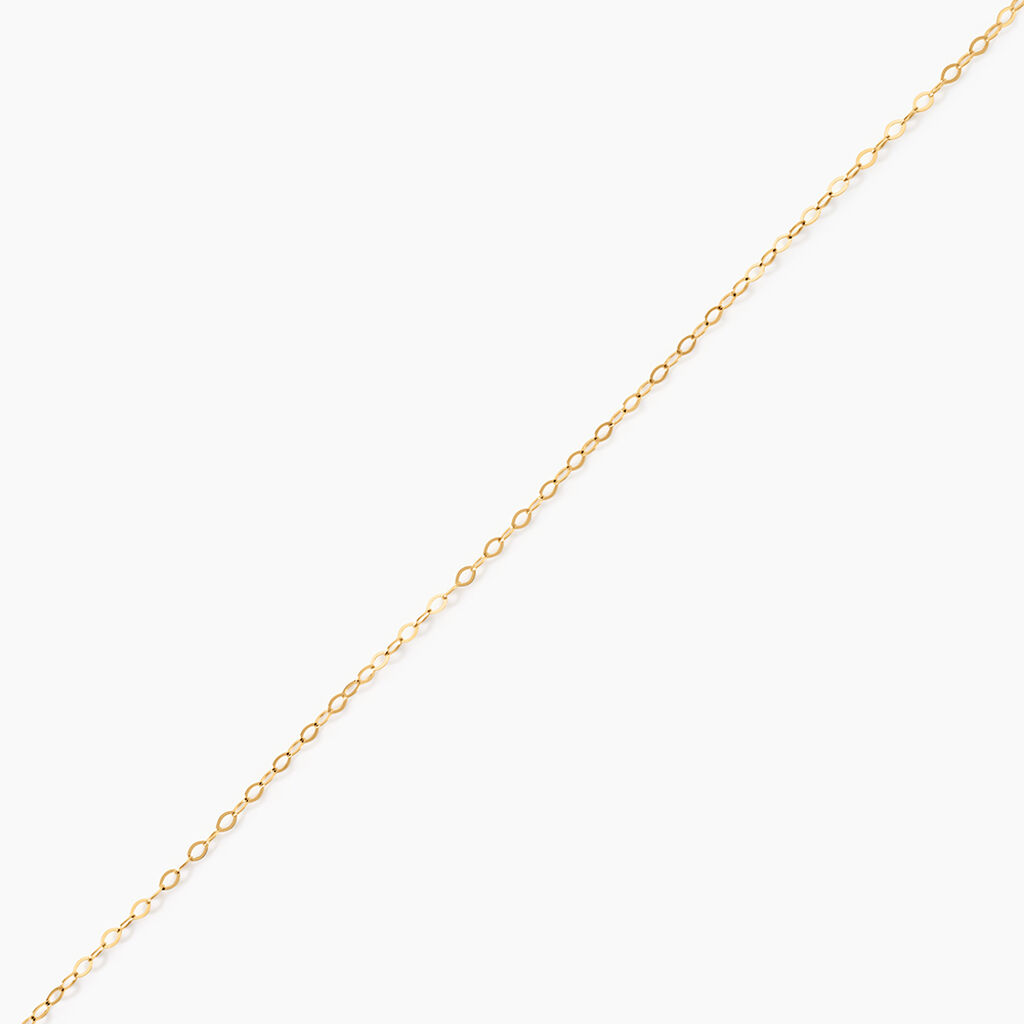 Cha&icirc;ne De Cheville Fiorbes Or Jaune - Cha&icirc;nes de cheville Femme | Histoire d&rsquo;Or