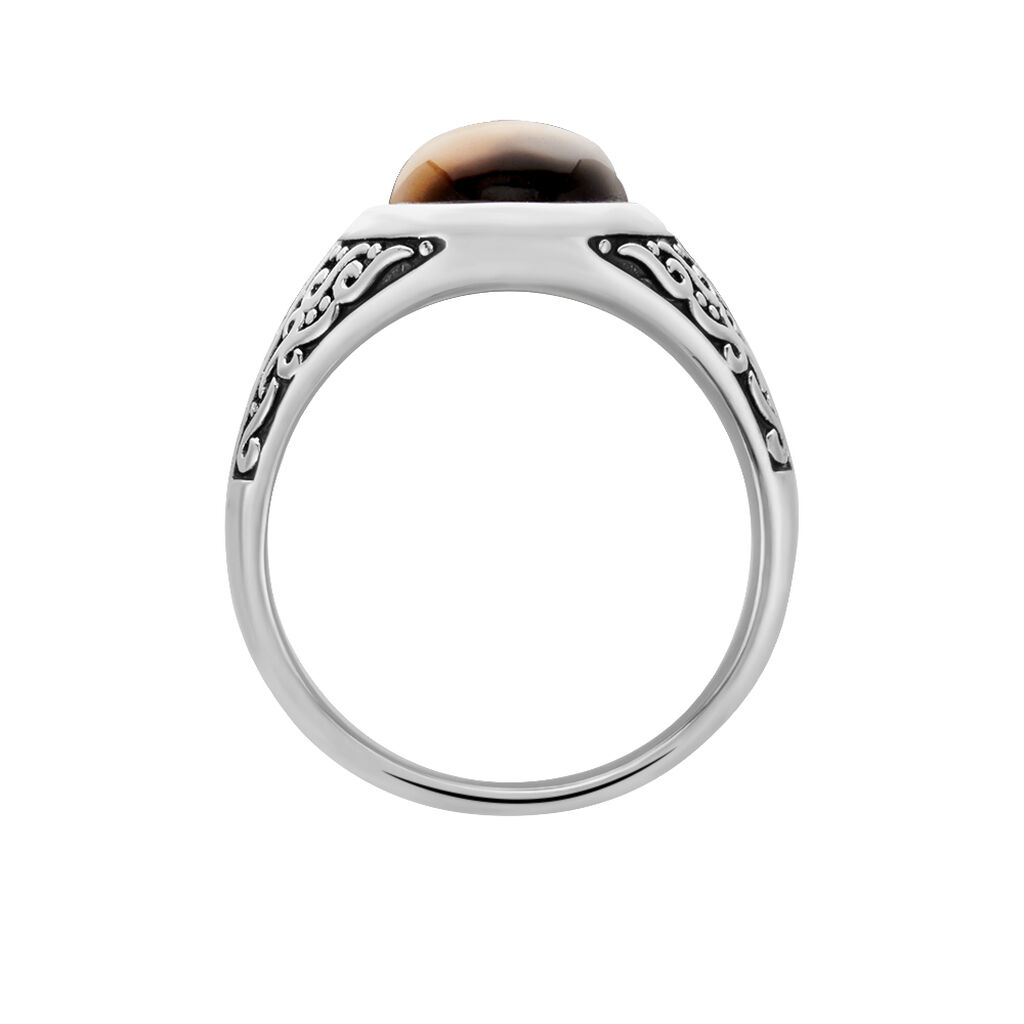 Chevali&egrave;re Acier Vieilli Keegan &oelig;il De Tigre - Bagues solitaires Homme | Histoire d&rsquo;Or