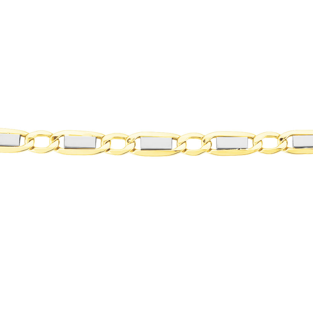 Bracelet Danae Maille Plaquette Alternee 1/1 Or Bicolore - Bracelets chaîne Homme | Histoire d’Or