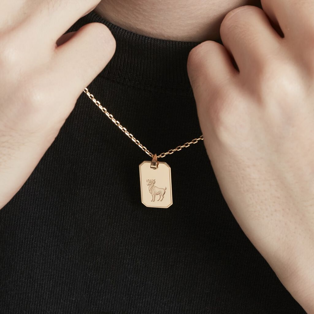 Collier Plaqué Or Quintien - Colliers Zodiaque Homme | Histoire d’Or