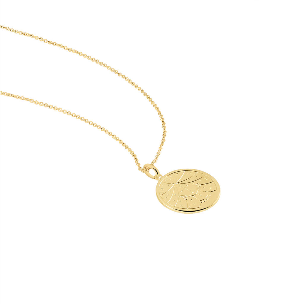 Collier Astro Plaqué Or - Colliers Femme | Histoire d’Or
