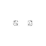 Boucles D'oreilles Puces Clavie Or Blanc Diamant - Clous d'oreilles Femme | Histoire d&rsquo;Or