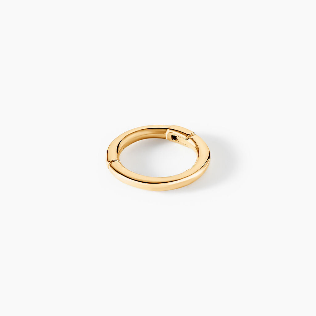 Piercing D'oreille Unitaire Aloes Or Jaune - Bijoux Femme | Histoire d’Or