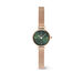 Montre Daniel Wellington Petite Mini Vert - Montres Femme | Histoire d’Or