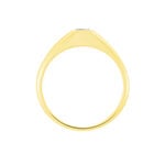 Chevaliere Maxime Or Jaune Oxyde - Bagues solitaires Famille | Histoire d&rsquo;Or