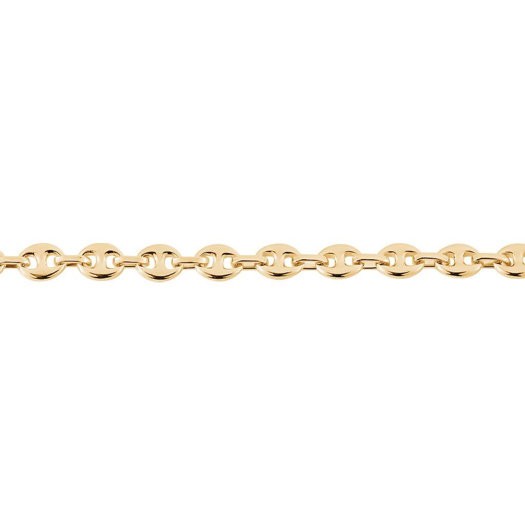 Bracelet William Plaqué Or Jaune - Bracelets chaîne Femme | Histoire d’Or