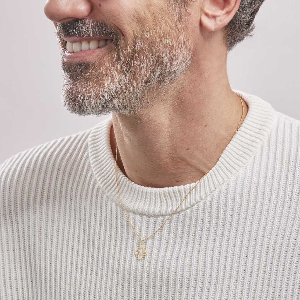 Pendentif Cobeia Croix Basque Or Jaune - Pendentifs Famille | Histoire d’Or