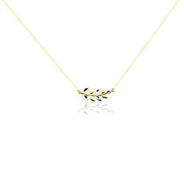 Collier Anuradha Or Jaune - Colliers Femme | Histoire d’Or