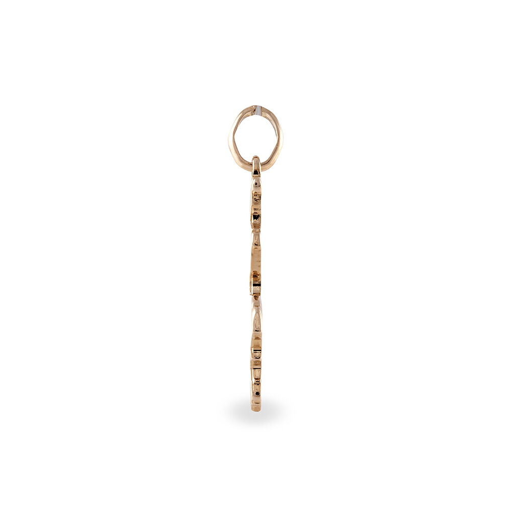 Pendentif Icrameae Plaque Or Jaune - Pendentifs Famille | Histoire d’Or